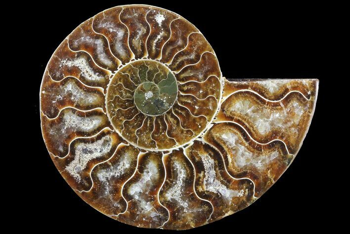 Agatized Ammonite Fossil (Half) - Madagascar #83824